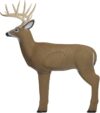 Shooter 3D Deer Archery Target