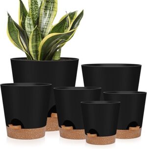 Indoor Self-Watering Planters Set