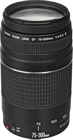 Canon EF 75-300mm Lens