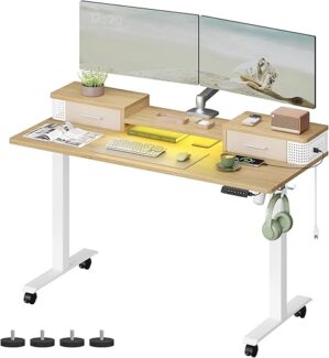 VASAGLE Electric Standing Desk with Drawers