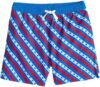Chubbies Classic Swim Trunks Shorts