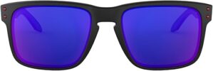 Oakley Men's Holbrook Sunglasses