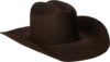 ARIAT Wool Felt Cowboy Hat