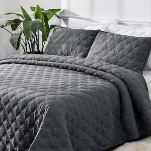 Litanika Oversized King Quilt Set - Grey