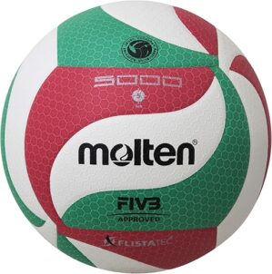 Molten Professional Volleyball Ball
