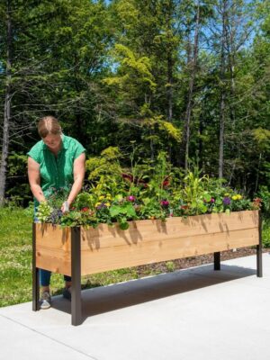 Gardener's Supply Company Raised Cedar Garden Bed Planter Box