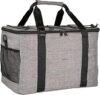 Amazon Basics Reusable Insulated Soft Cooler Backpack