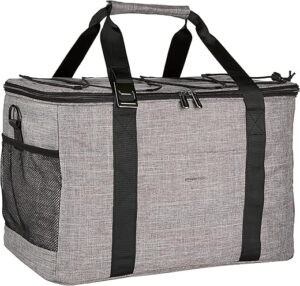 Amazon Basics Reusable Insulated Soft Cooler Backpack