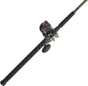 PENN Squall II Level Wind Combo, Black/Gold