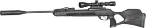 Gamo Swarm Magnum .22 Caliber Break Barrel Air Rifle