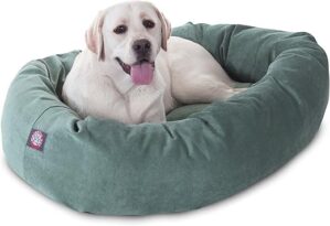 Dog Supplies