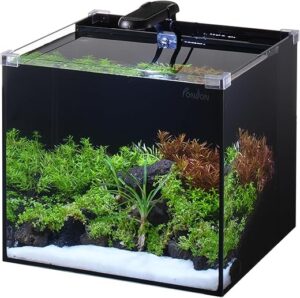 Aquariums & Starter Kits