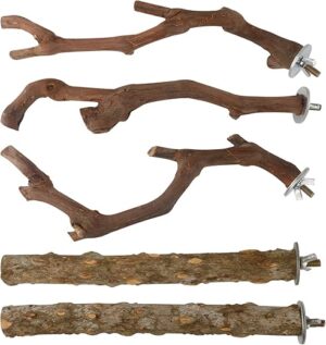 HOSUKKO 5PCS Bird Perch Stand Training Branches