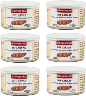 JADINGSFARM 6 Pack Canned Black Soldier Fly Larvae BSF