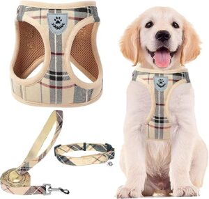 PUPTECK Adjustable Dog Harness Collar Leash Set