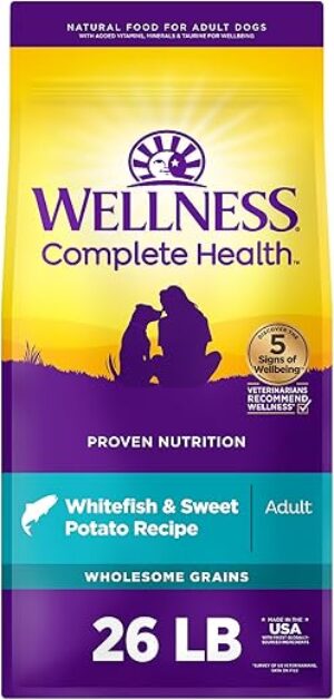 Wellness Adult Dry Dog Food, Whitefish & Sweet Potato Recipe, 26 Pound Bag