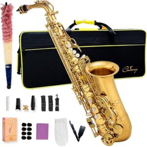CADWAY Alto Saxophone Eb With Accessories (Gold)