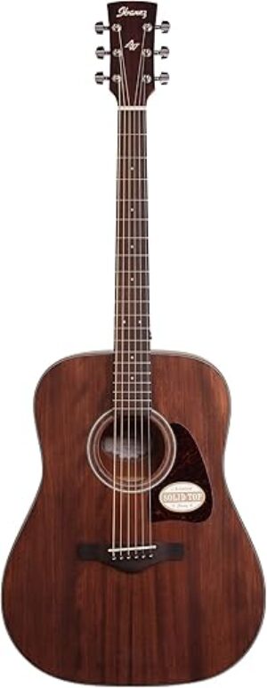 Ibanez AW54OPN Artwood Dreadnought Acoustic Guitar