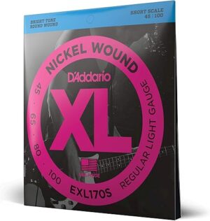 D'Addario Bass Guitar Strings - EXL170S - 45-100