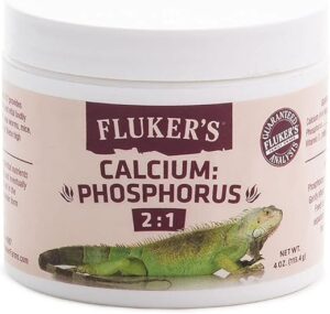 Reptile Health & Wellness