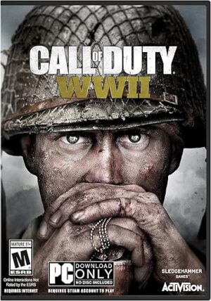 ACTIVISION Call of Duty: WWII – PC Standard Edition