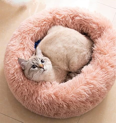 Cat Supplies
