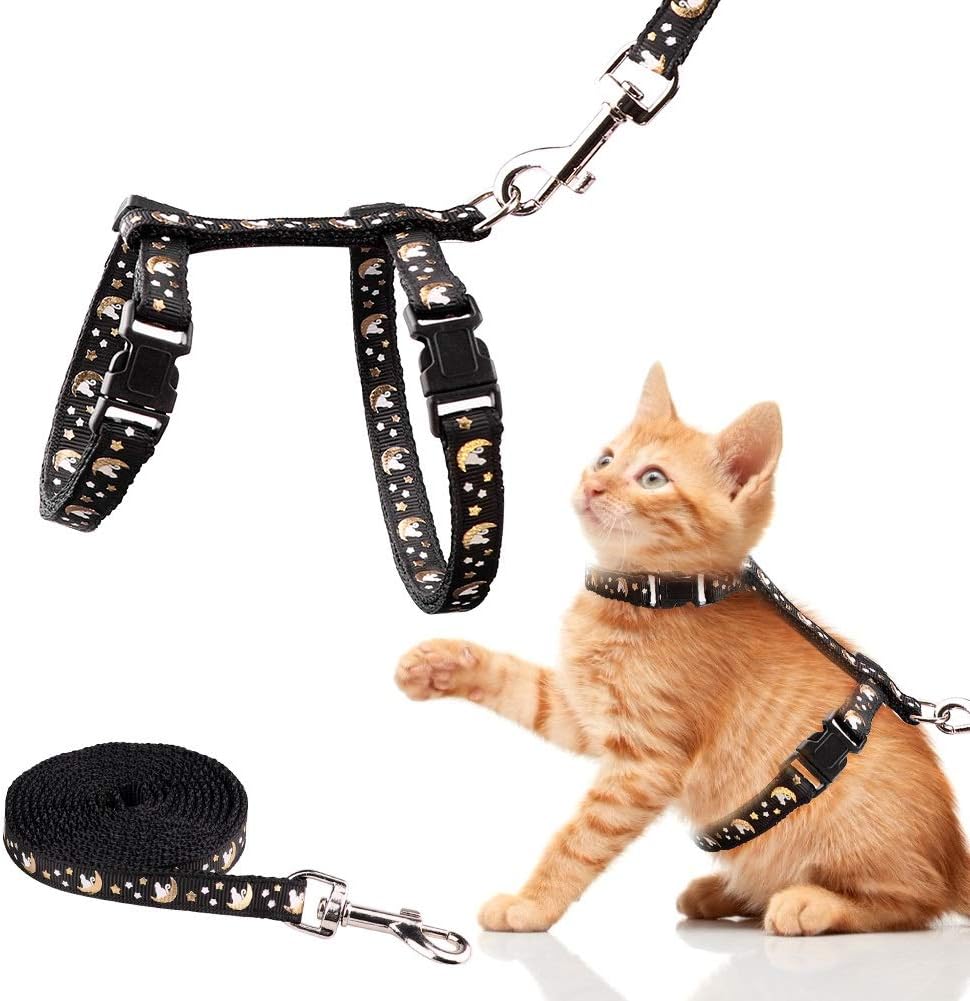 Cat Collars & Leashes