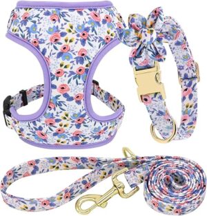 Beirui Cute Girl Dog Collar Leash Set XS