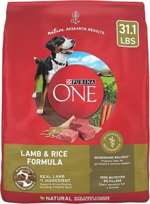 Purina ONE Dry Dog Food Lamb and Rice - 31.1 lb. Bag