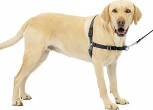 PetSafe Easy Walk No-Pull Dog Harness - Large