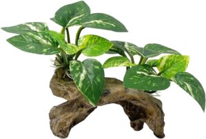 Smoothedo-Pets Fish Tank Decorations Driftwood Cave Type-C