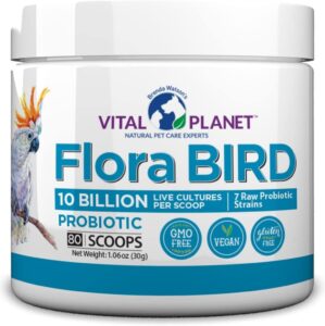 Bird Health & Wellness