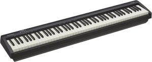 Roland FP-10 88-Key Digital Keyboard Bluetooth