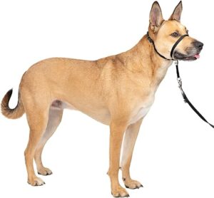 PetSafe Gentle Leader No-Pull Dog Headcollar, Medium