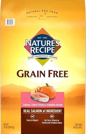 Nature's Recipe Grain Free Salmon, Sweet Potato & Pumpkin Dry Dog Food, 24 lb. Bag