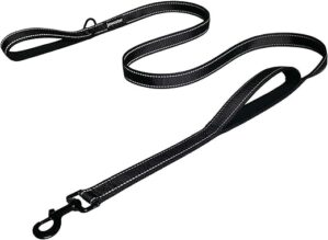JEWOSTER Heavy Duty Dog Leash - 6ft Black
