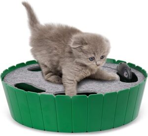 Pawaboo Interactive Cat Toy With Running Mouse