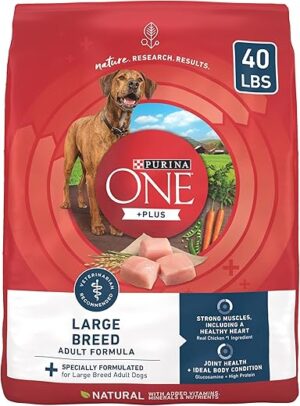 Purina ONE Large Breed Adult Dog Food - 40 lb