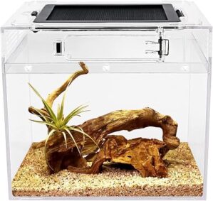 Terrariums & Enclosures