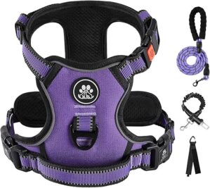 IVY&LANE No Pull Dog Harness With Leash