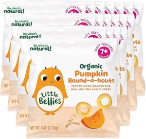 Little Bellies Organic Pumpkin Baby Snack Pack - 18 x 0.42 oz