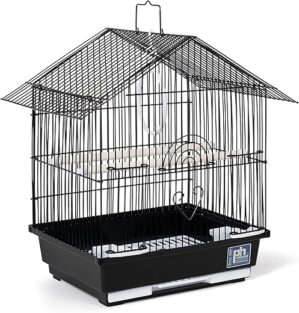 Bird Cages