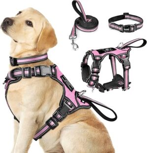 Dog Collars, Harnesses & Leashes