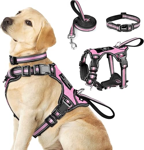 Dog Collars, Harnesses & Leashes