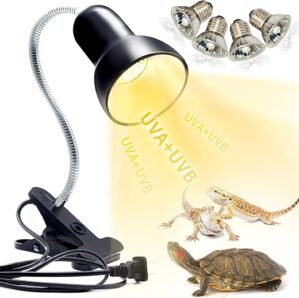 Heating & Lighting