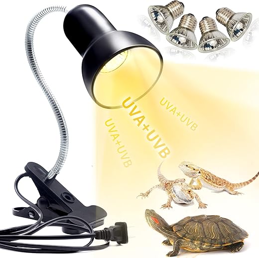 Heating & Lighting