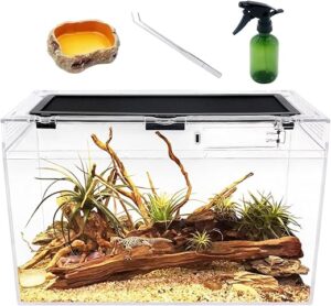 Reptile Growth Reptile Terrarium, 16"x8"x10" Tank