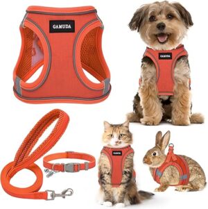 GAMUDA Small Pet Harness Collar Leash Set, S