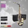 GLARRY Student Alto Eb E-flat Saxophone Beginners Kit