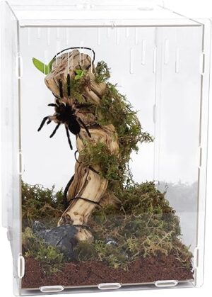 winemana Terrarium Aquarium Breeding Tank, 14.5" x 10.5" x 10